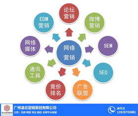 番禺區網站建設首選凌志營銷策劃，專業信息咨詢服務助您騰飛