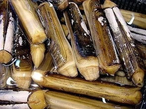 警惕餐桌風(fēng)險 食用農(nóng)產(chǎn)品批發(fā)中的抗生素超標(biāo)海鮮